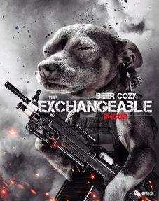 娱乐吃瓜汪星人,揭秘明星背后的故事